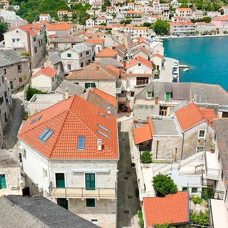 Nezi פוצ'ישצ'ה