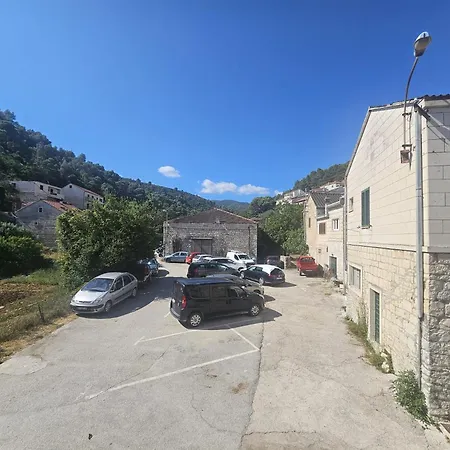 Nezi פוצ'ישצ'ה