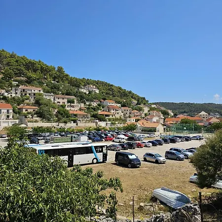 Nezi Pucisca